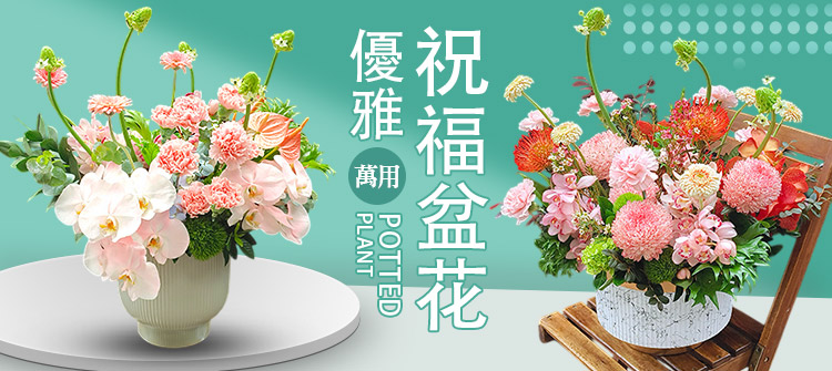 首頁大Banner-萬用祝福盆花