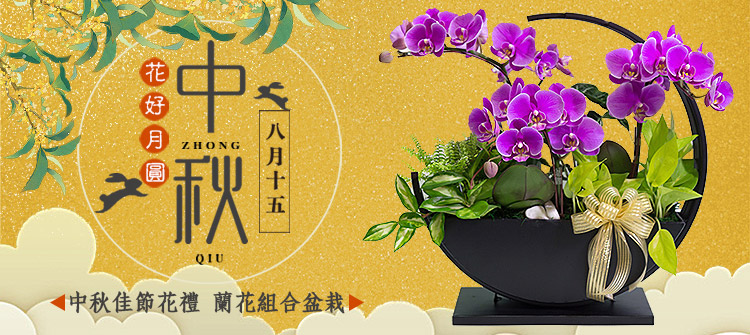 首頁大Banner-中秋佳節花禮 蘭花組合盆栽
