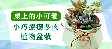 首頁小Banner-療癒多肉植物盆栽