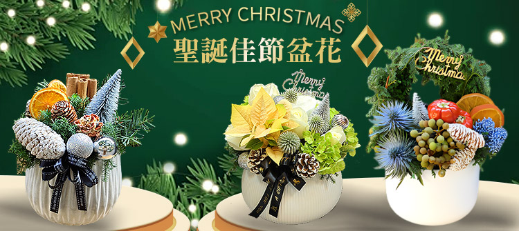 首頁大Banner-聖誕節盆花