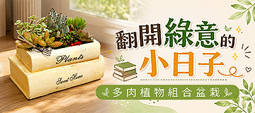 首頁小Banner-多肉植物組合盆栽