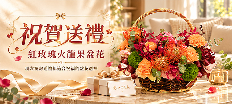 首頁大Banner-紅玫瑰火龍果盆花