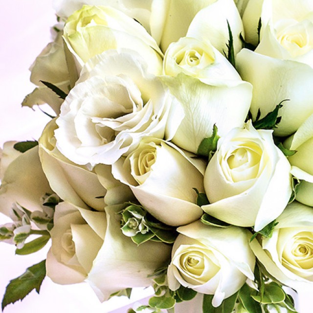 充滿愛與祝福的新娘白玫瑰捧花 浪漫推薦