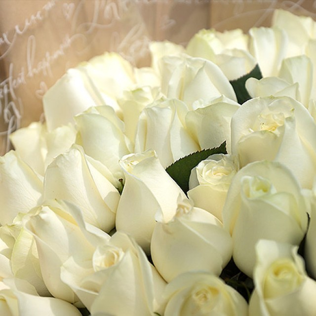 花店送花 愛戀99朵白玫瑰花束