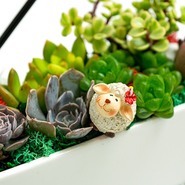台北花店推薦萌萌療癒多肉植物組合盆栽 心願網路花店