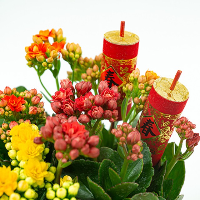 熱銷藝術盆栽吉祥長壽好運年年組合盆栽花店 心願網路花店