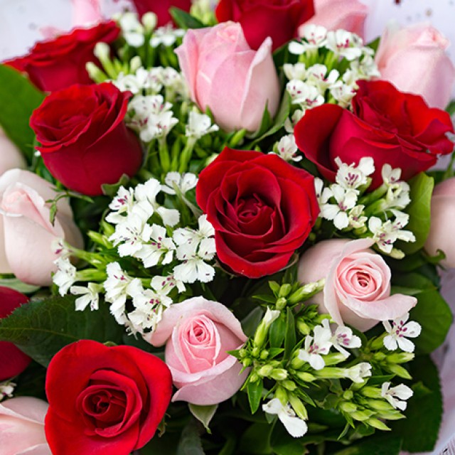 浪漫告白 雙色玫瑰花束 全省配送