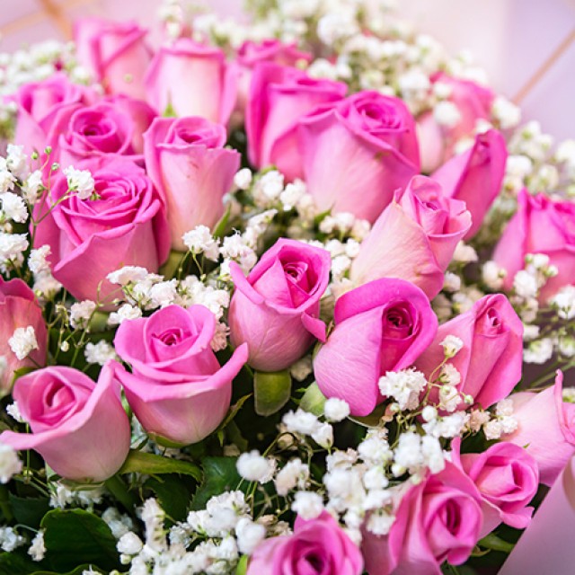 撒了糖的愛情  50朵紫天王玫瑰花束