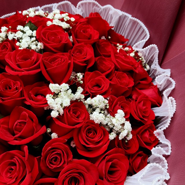 66朵紅玫瑰告白花束  珍愛不變