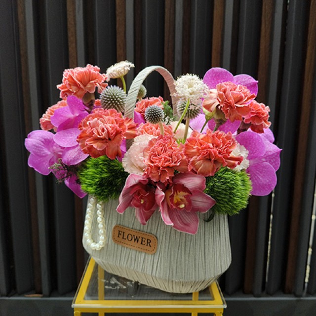 特殊色進口康乃馨母親節盆花  送給最特別的媽咪
