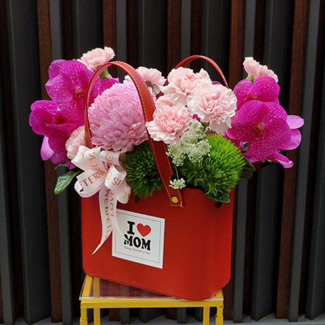 進口康乃馨盆花 送給最親愛的媽媽
