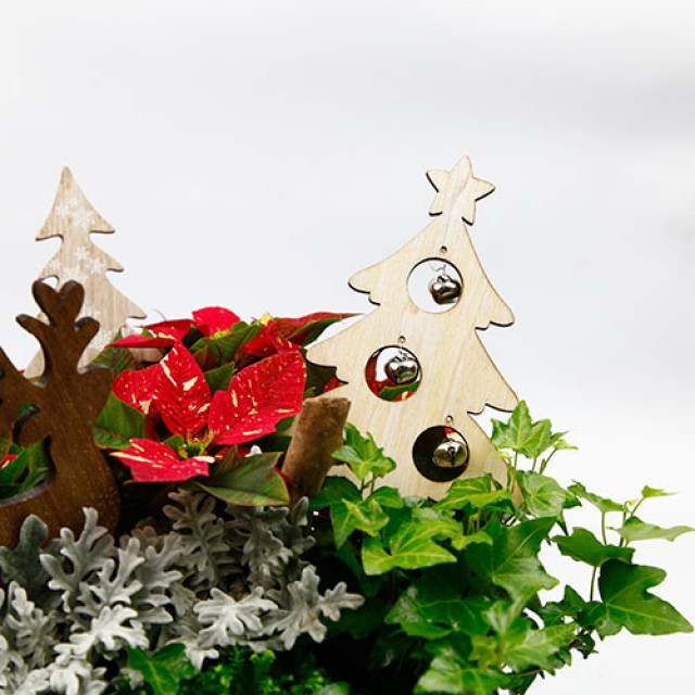 聖誕節佈置首選 聖誕快樂桌上型盆栽
