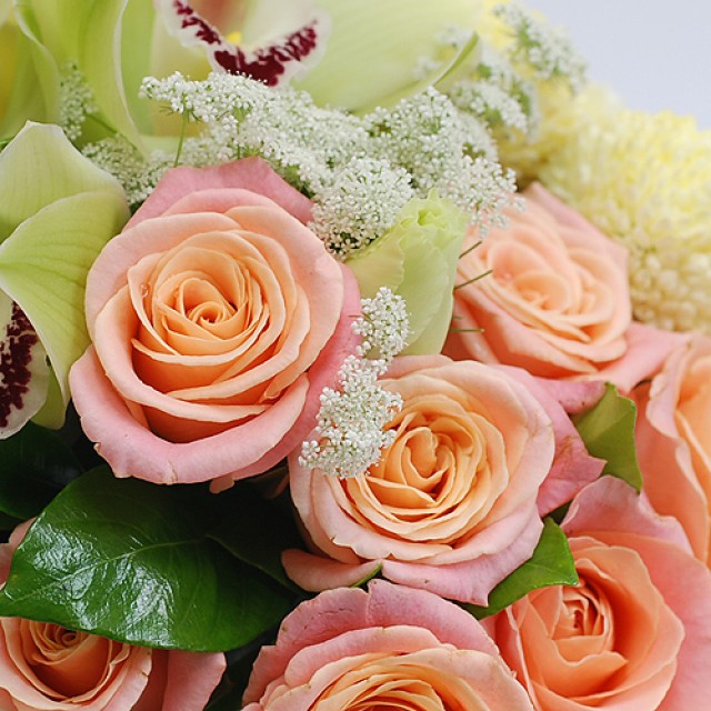 特別的生日禮物 幸福繽氛玫瑰盆花 訂花冠軍