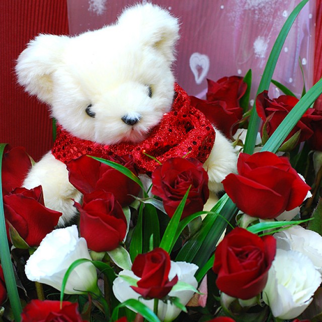 愛妳熊熊紅玫瑰花束 台北花店推薦