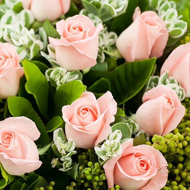 花店推薦 燦爛粉紅玫瑰花束