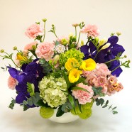 台北花店送花 高雅盆花