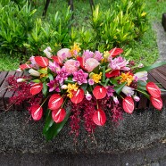 開幕會議水平盆花  鮮艷大器花店推薦
