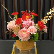 春暖花開 HAPPY NEW YEAR小型盆花