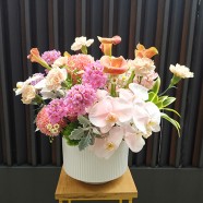 花店推薦 春日柔粉 高雅鮮花盆花