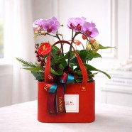 店長推薦 母親節蘭花盆栽 全省宅配傳心意