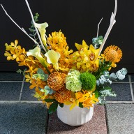 開幕喜慶萬用盆花  花店送禮首推