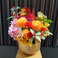 舞蝶迎春  年節喜慶盆花