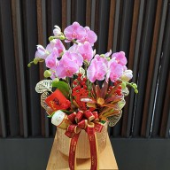 新年祝賀 富貴開運蘭花首選 全省可宅配