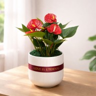 為你的勇氣增添火侯　小火鶴應援盆栽