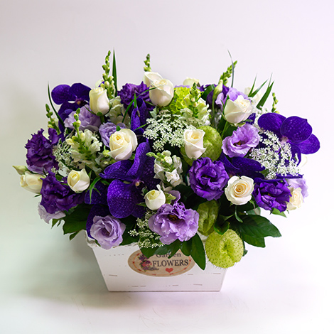 開幕誌慶送禮網路花店推薦圓滿成功祝福盆花 心願網路花店