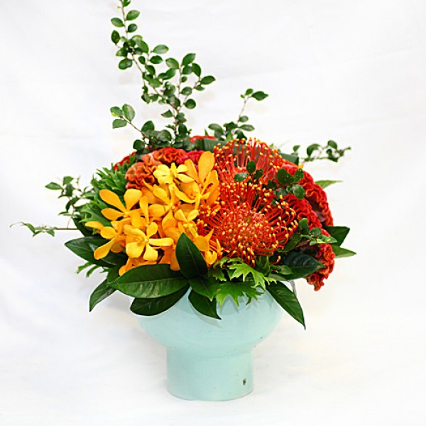 歡樂祝福針墊花千岱蘭桌上組合盆花 心願網路花店