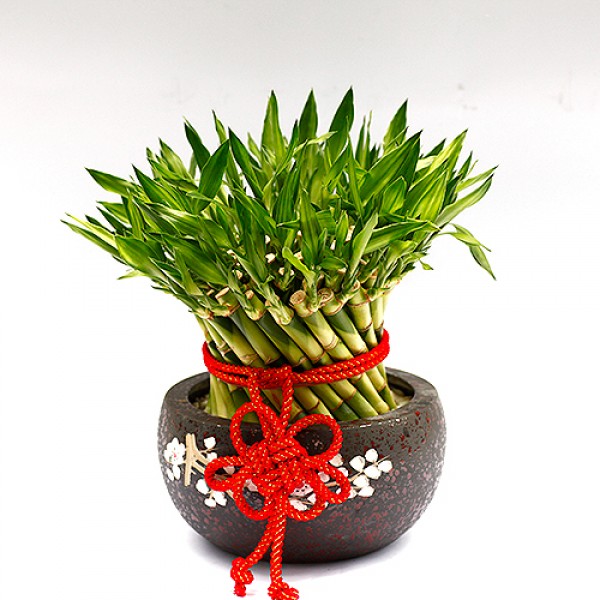 img_resizer?path=44083&Width=600