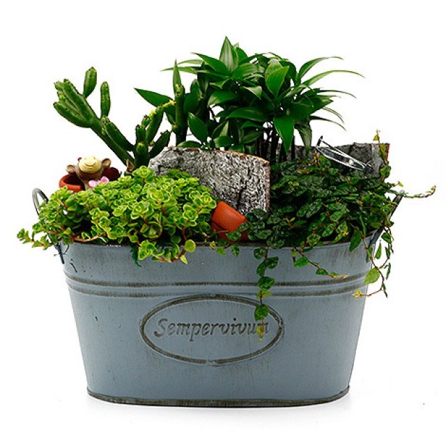 淨化空氣植物美式鄉村風組合盆栽舒壓推薦 心願網路花店