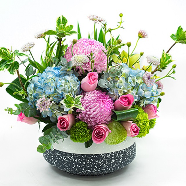 花店推薦送禮盆花喜慶專用桌上盆花 心願網路花店