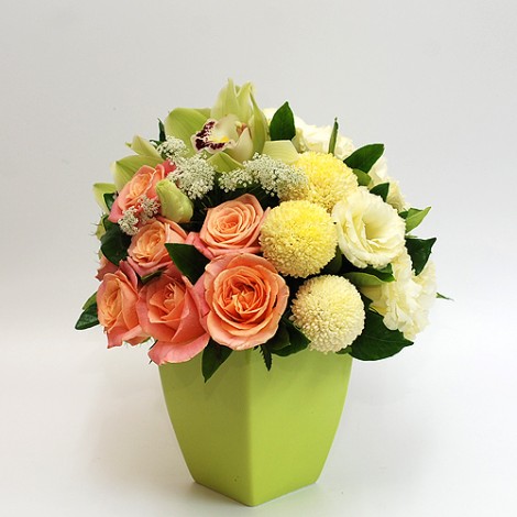特別的生日禮物 幸福繽氛玫瑰盆花 訂花冠軍 特別的生日禮物 送朋友特別的生日禮物 