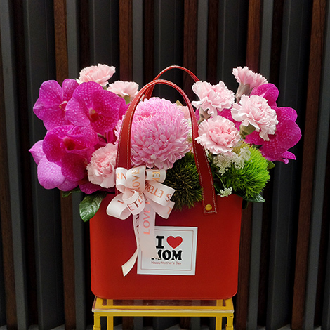 進口康乃馨盆花 送給最親愛的媽媽 母親節 母親節禮物 